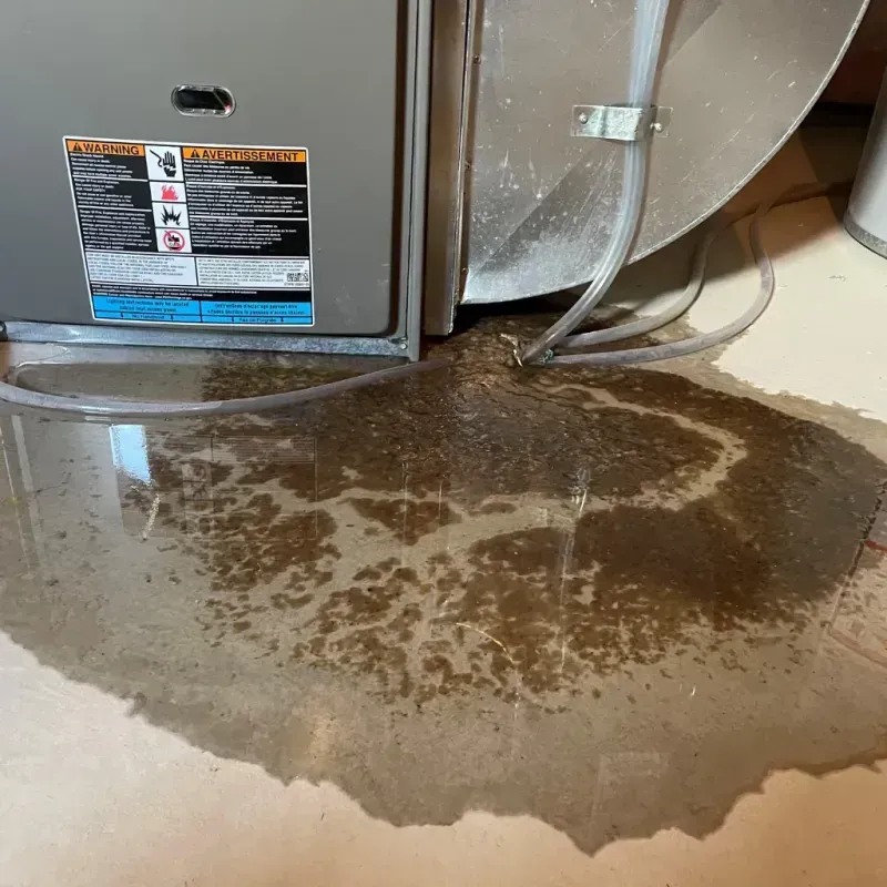 Appliance Leak Cleanup in Riverside, MO